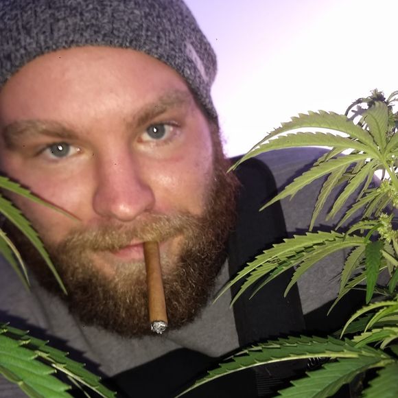 Meet your Posher, Jerry - Picture 1 of 1